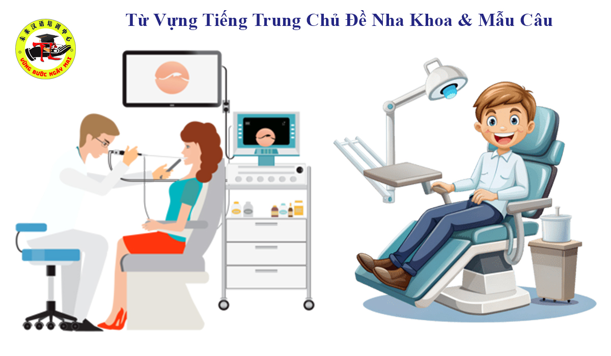 Từ Vựng Tiếng Trung Chủ Đề Nha Khoa & Mẫu Câu