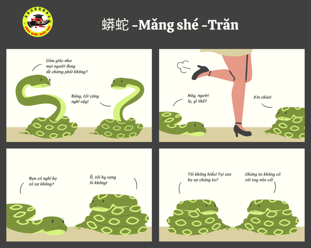 100 từ vựng Tên con vật trong tiếng Trung